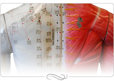 APM - ungehinderter Energieflu� aller K�rperregonen