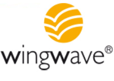 wingwave, Emotionscoaching