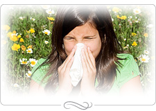 Allergien - berreiztes Immunsystem